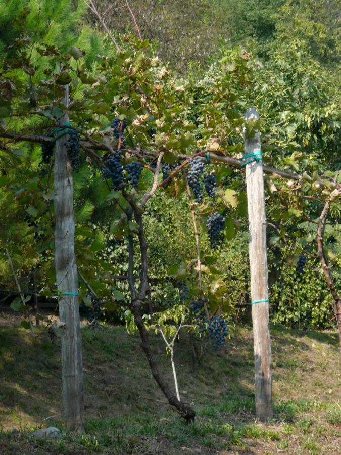 Cascina Cologna Bed and Breakfast Galbiate Exterior foto